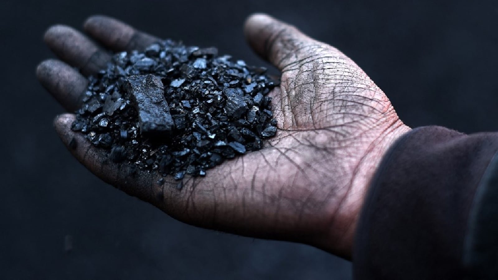 Coal India To Divest 25% Stake In Bccl