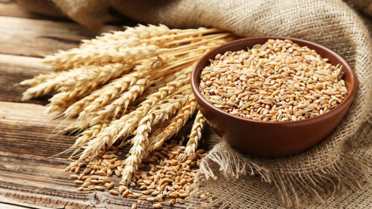 government on Sunday extended the wheat procurement