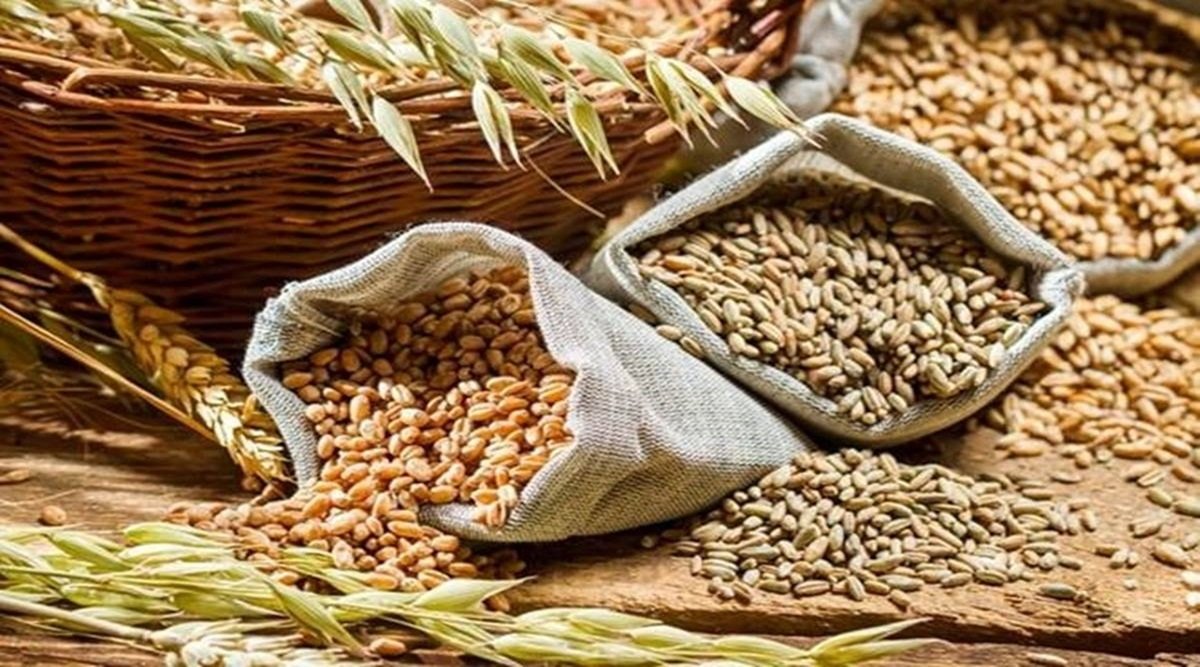 India wheat output