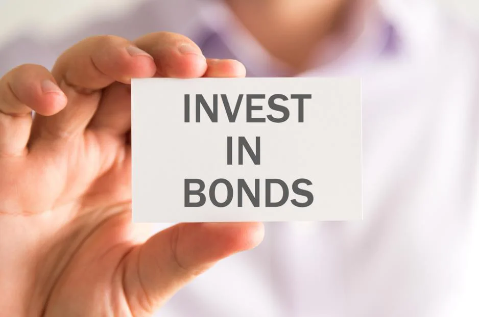 investment in government bonds